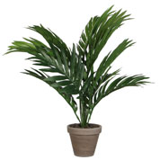 Planta Artificial - Palmera Areca - MICA